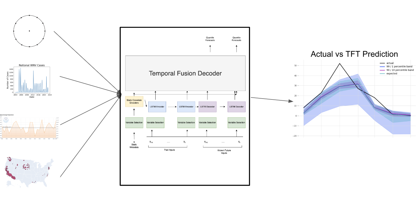 West Nile Virus Research
